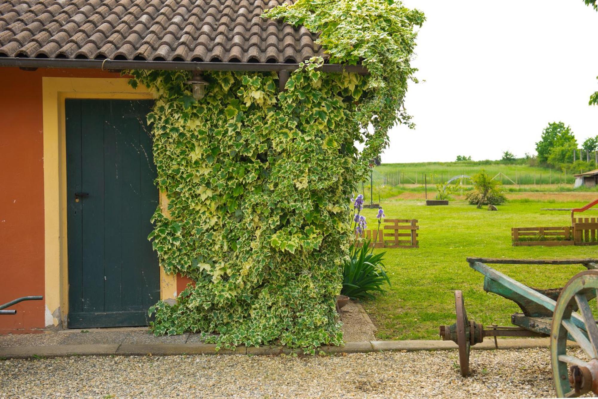 Country House Cascina Orto Pasturana Eksteriør billede